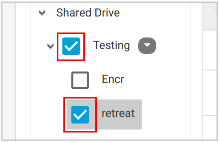 Shared Drive - Select Files
