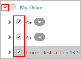 Select required folders to restore